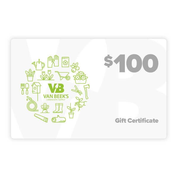 $100.00 VB Gift Certificate